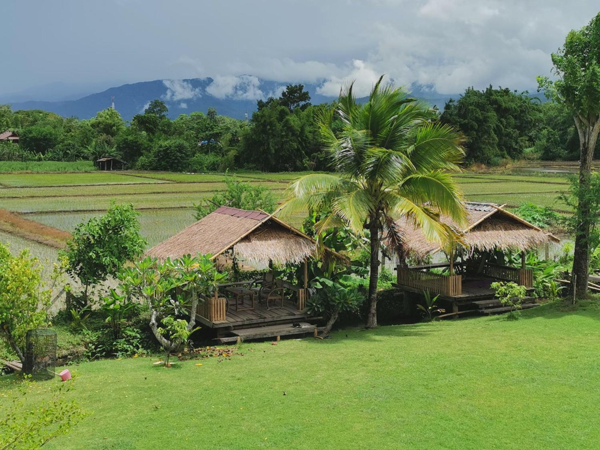 Wichouda * Chiang Dao